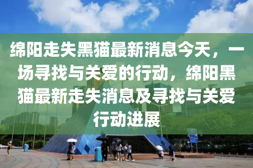 绵阳走失黑猫最新消息今天，一场寻找与关爱的行动，绵阳黑猫最新走失消息及寻找与关爱行动进展