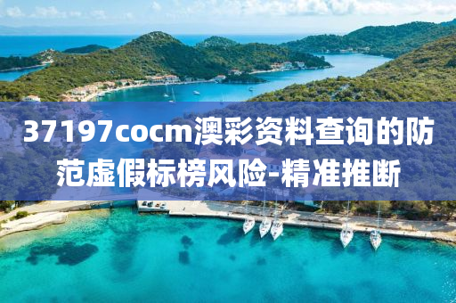 37197cocm澳彩资料查询的防范虚假标榜风险-精准推断