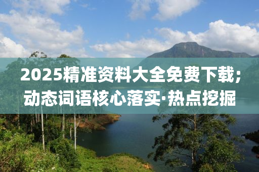 2025精准资料大全免费下载;动态词语核心落实·热点挖掘