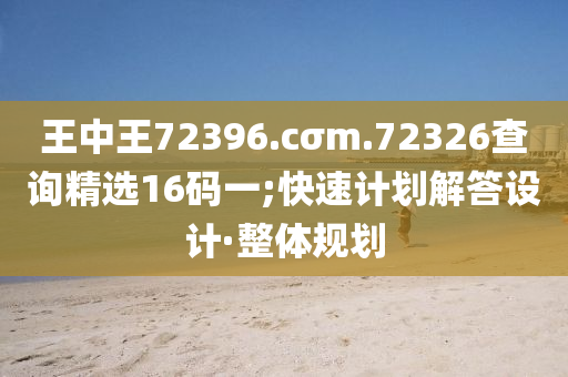 王中王72396.cσm.72326查询精选16码一;快速计划解答设计·整体规划