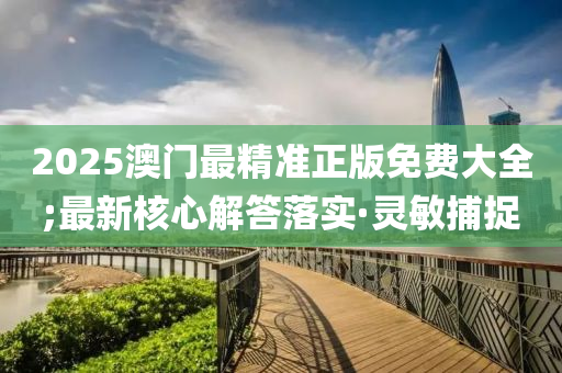 2025澳门最精准正版免费大全;最新核心解答落实·灵敏捕捉