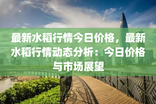 最新水稻行情今日价格，最新水稻行情动态分析：今日价格与市场展望