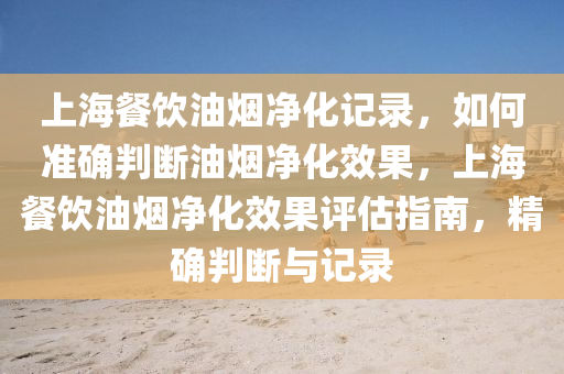 上海餐饮油烟净化记录，如何准确判断油烟净化效果，上海餐饮油烟净化效果评估指南，精确判断与记录