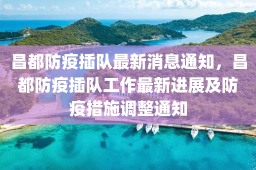 昌都防疫插队最新消息通知，昌都防疫插队工作最新进展及防疫措施调整通知