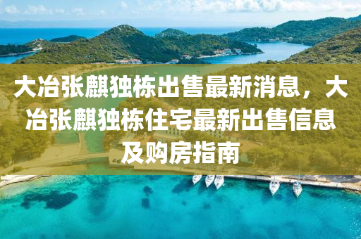大冶张麒独栋出售最新消息，大冶张麒独栋住宅最新出售信息及购房指南