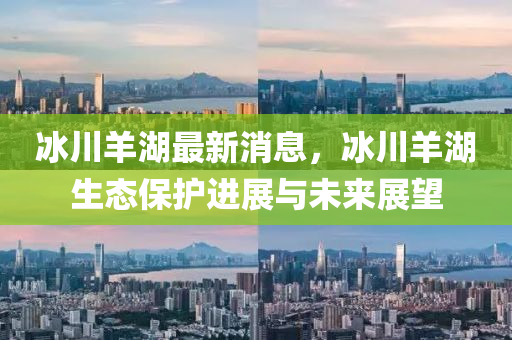 2025年3月12日 第26页