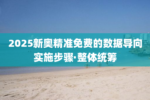 2025新奥精准免费的数据导向实施步骤·整体统筹