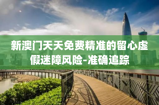 新澳门天天免费精准