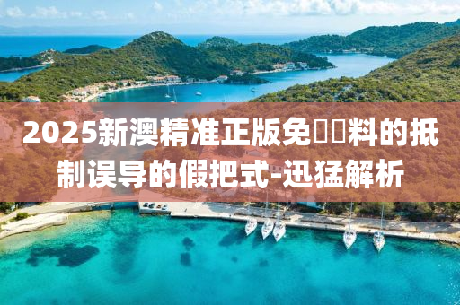 2025新澳精准正版免費資料的抵制误导的假把式-迅猛解析