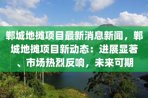 郸城地摊项目最新消息新闻，郸城地摊项目新动态：进展显著、市场热烈反响，未来可期