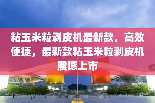 粘玉米粒剥皮机最新款，高效便捷，最新款粘玉米粒剥皮机震撼上市