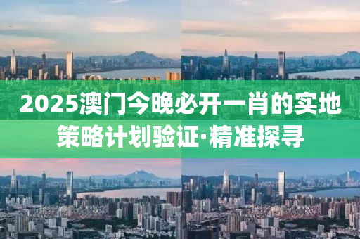 2025澳门今晚必开一肖的实地策略计划验证·精准探寻