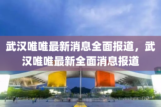 武汉唯唯最新消息全面报道，武汉唯唯最新全面消息报道