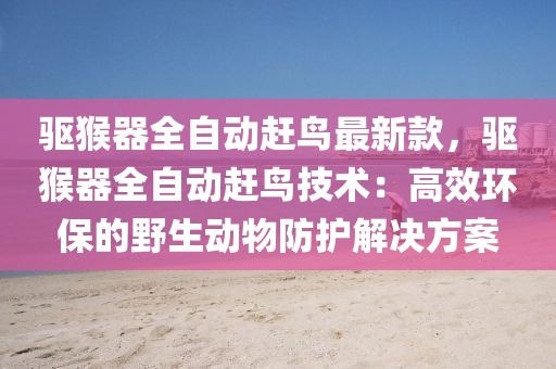 2025年3月13日 第17页
