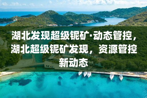 湖北发现超级铌矿·动态管控，湖北超级铌矿发现，资源管控新动态