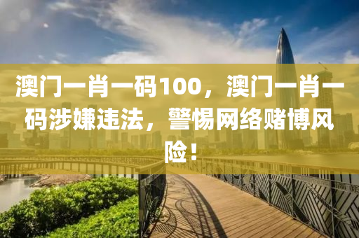 澳门一肖一码100，澳门一肖一码涉嫌违法，警惕网络赌博风险！