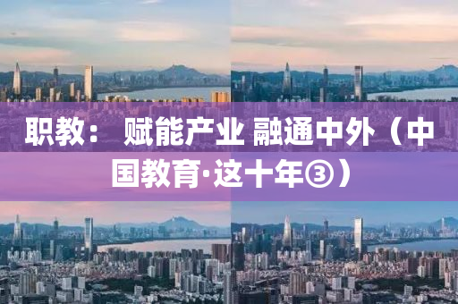 职教： 赋能产业 融通中外（中国教育·这十年③）