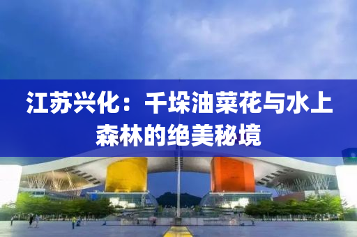 江苏兴化：千垛油菜花与水上森林的绝美秘境