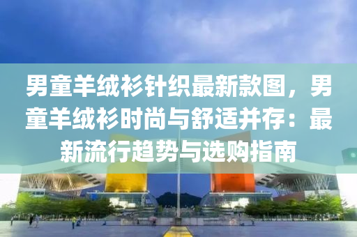 男童羊绒衫针织最新款图，男童羊绒衫时尚与舒适并存：最新流行趋势与选购指南