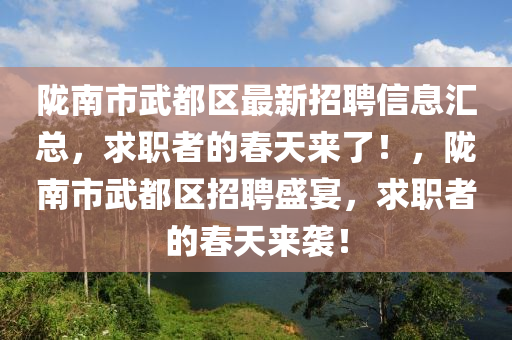 陇南市武都区最新招聘信息汇总，求职者的春天来了！，陇南市武都区招聘盛宴，求职者的春天来袭！