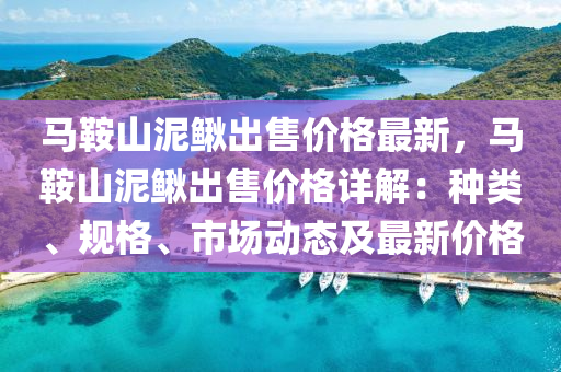 马鞍山泥鳅出售价格最新，马鞍山泥鳅出售价格详解：种类、规格、市场动态及最新价格