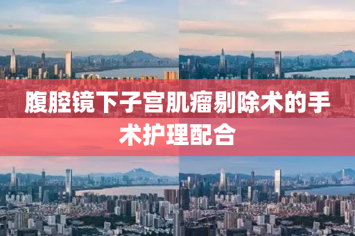 腹腔镜下子宫肌瘤剔除术的手术护理配合