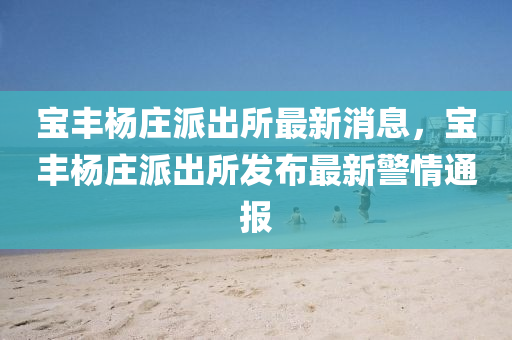 宝丰杨庄派出所最新消息，宝丰杨庄派出所发布最新警情通报