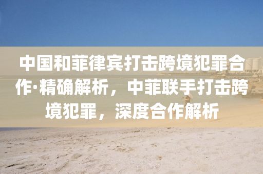 中国和菲律宾打击跨境犯罪合作·精确解析，中菲联手打击跨境犯罪，深度合作解析