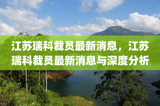 江苏瑞科裁员最新消息，江苏瑞科裁员最新消息与深度分析