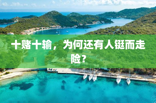 十赌十输，为何还有人铤而走险？