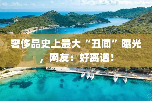 奢侈品史上最大“丑闻”曝光，网友：好离谱！