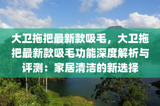 大卫拖把最新款吸毛，大卫拖把最新款吸毛功能深度解析与评测：家居清洁的新选择