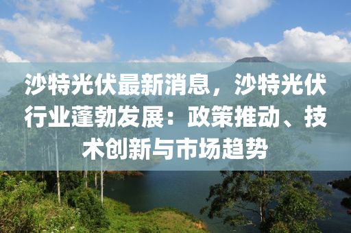 沙特光伏最新消息，沙特光伏行业蓬勃发展：政策推动、技术创新与市场趋势