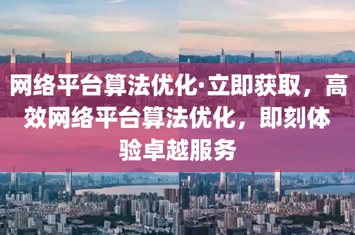 网络平台算法优化·立即获取，高效网络平台算法优化，即刻体验卓越服务