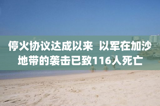 停火协议达成以来  以军在加沙地带的袭击已致116人死亡