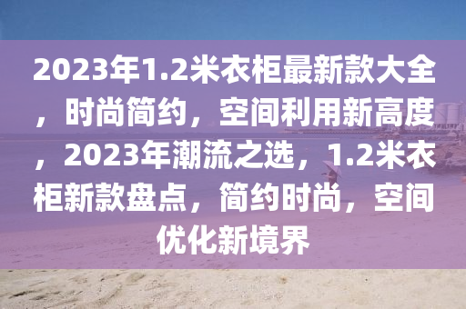 2023年1.2米衣柜最新款大全，时尚简约，空间利用新高度，2023年潮流之选，1.2米衣柜新款盘点，简约时尚，空间优化新境界