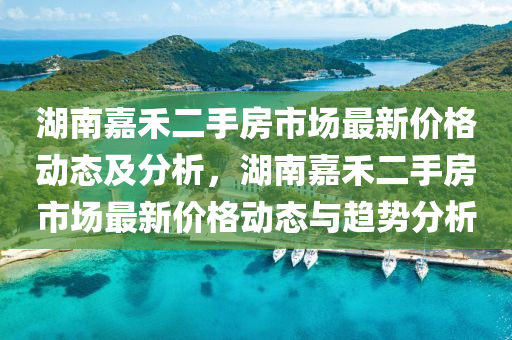 湖南嘉禾二手房市场最新价格动态及分析，湖南嘉禾二手房市场最新价格动态与趋势分析