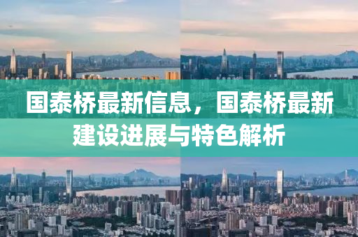 国泰桥最新信息，国泰桥最新建设进展与特色解析