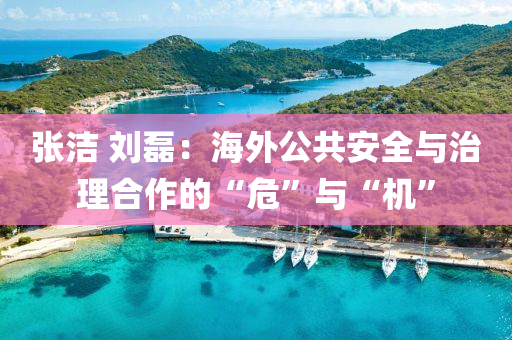张洁 刘磊：海外公共安全与治理合作的“危”与“机”