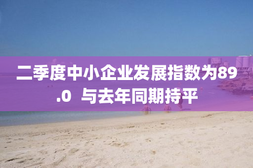 二季度中小企业发展指数为89.0  与去年同期持平