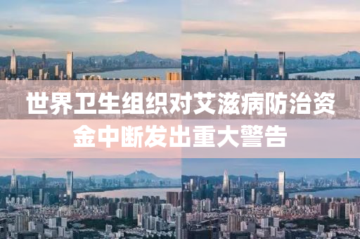世界卫生组织对艾滋病防治资金中断发出重大警告