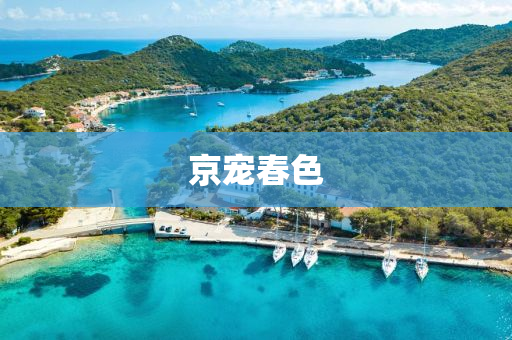 2025年3月15日 第7页