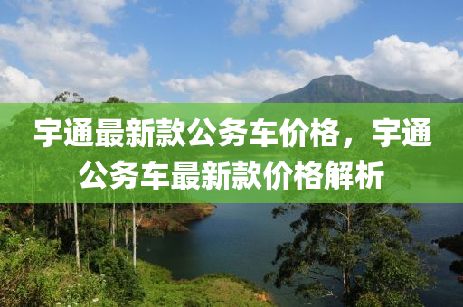 宇通最新款公务车价格，宇通公务车最新款价格解析