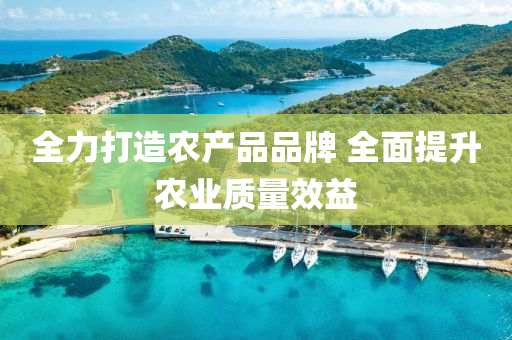 全力打造农产品品牌 全面提升农业质量效益