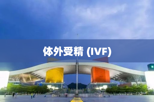 体外受精 (IVF)