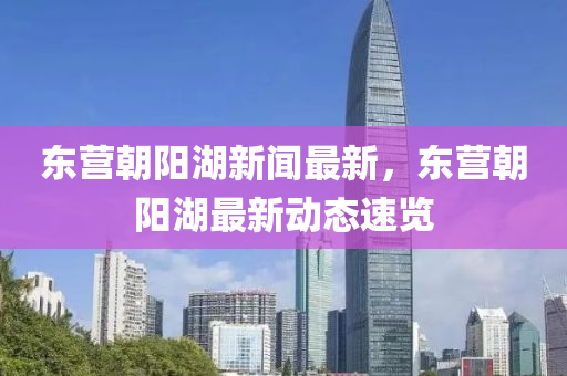 东营朝阳湖新闻最新，东营朝阳湖最新动态速览