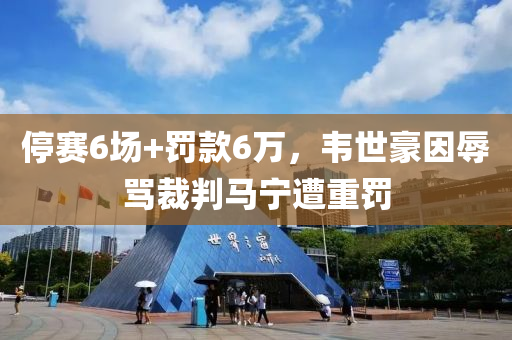 停赛6场+罚款6万，韦世豪因辱骂裁判马宁遭重罚