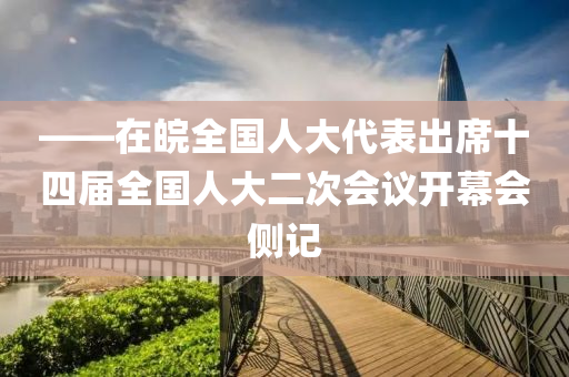 ——在皖全国人大代表出席十四届全国人大二次会议开幕会侧记