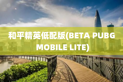 和平精英低配版(BETA PUBG mobiles LITE)