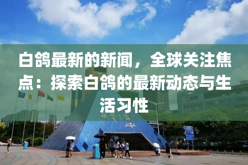 白鸽最新的新闻，全球关注焦点：探索白鸽的最新动态与生活习性